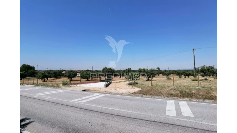 Quinta para Venda em Casével e Vaqueiros Foto 8