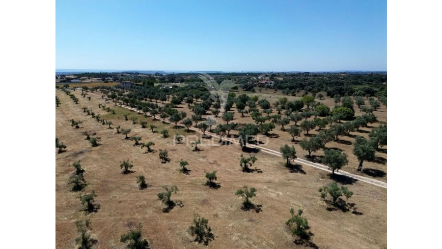 Quinta para Venda em Casével e Vaqueiros Foto 19