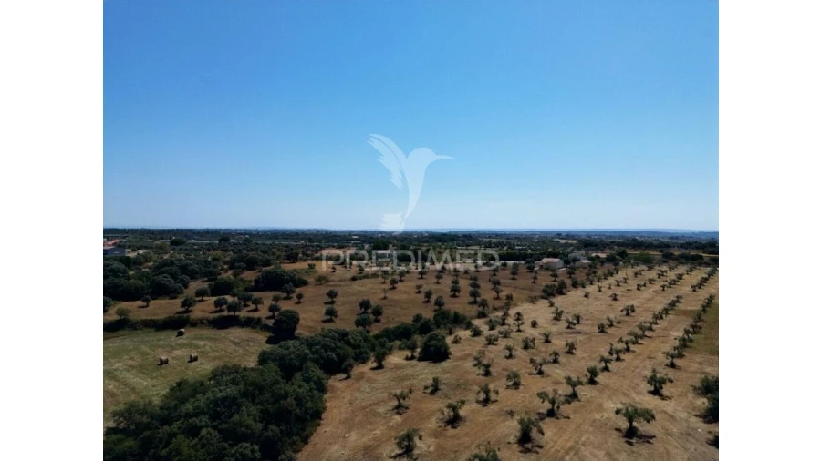 Quinta para Venda em Casével e Vaqueiros Foto 18