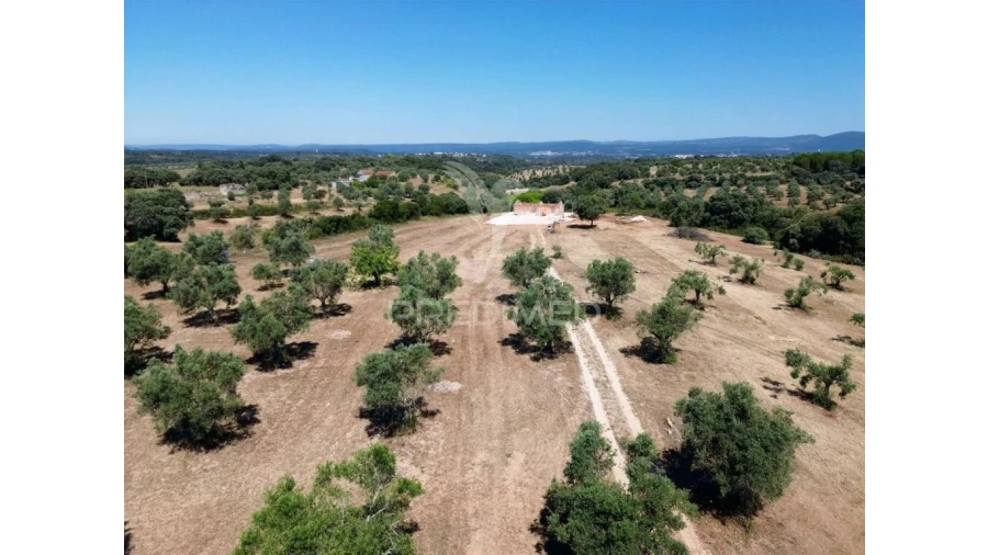 Quinta para Venda em Casével e Vaqueiros Foto 11