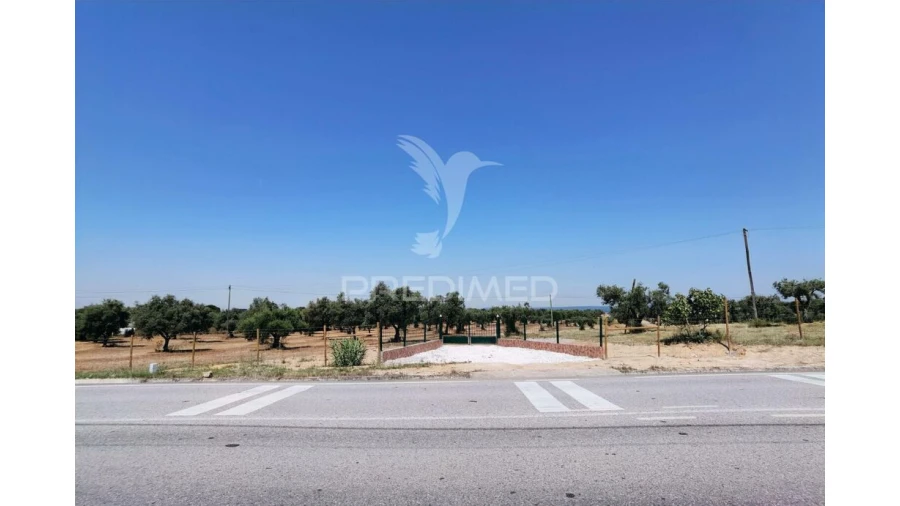 Quinta para Venda em Casével e Vaqueiros Foto 5