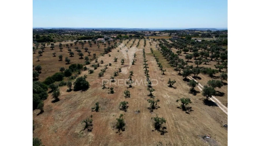 Quinta para Venda em Casével e Vaqueiros Foto 17