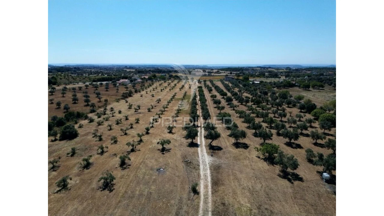 Quinta para Venda em Casével e Vaqueiros Foto 1