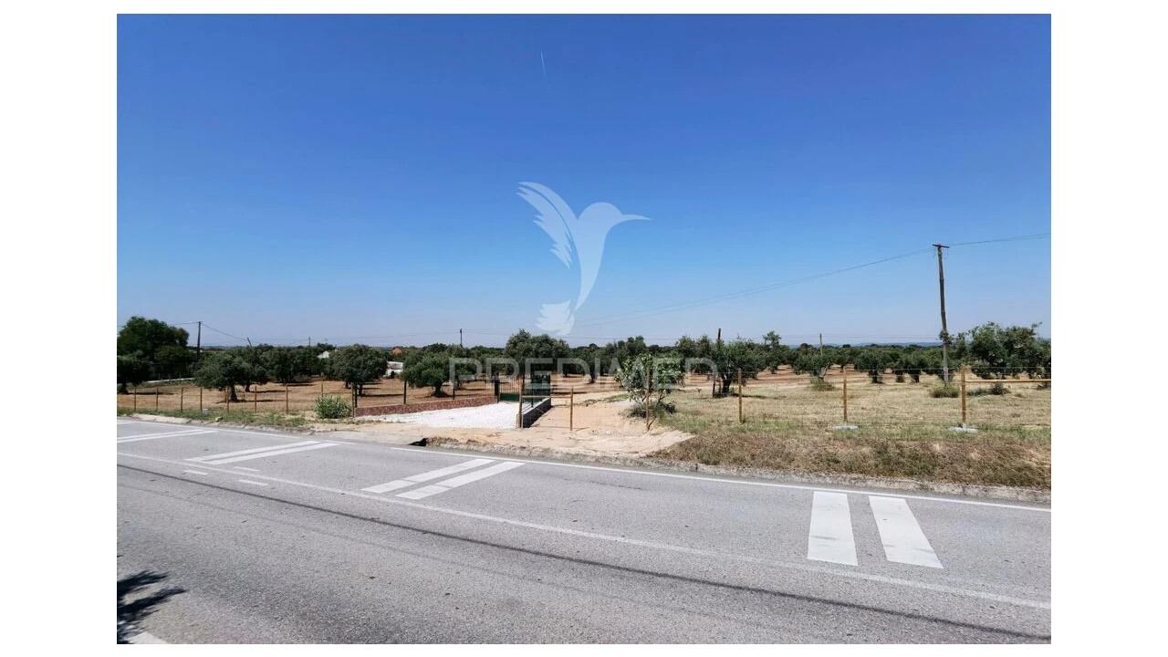 Quinta para Venda em Casével e Vaqueiros Foto 8