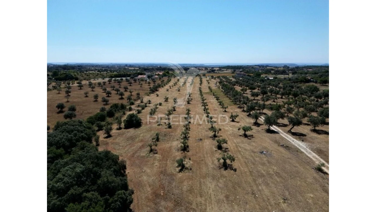 Quinta para Venda em Casével e Vaqueiros Foto 15