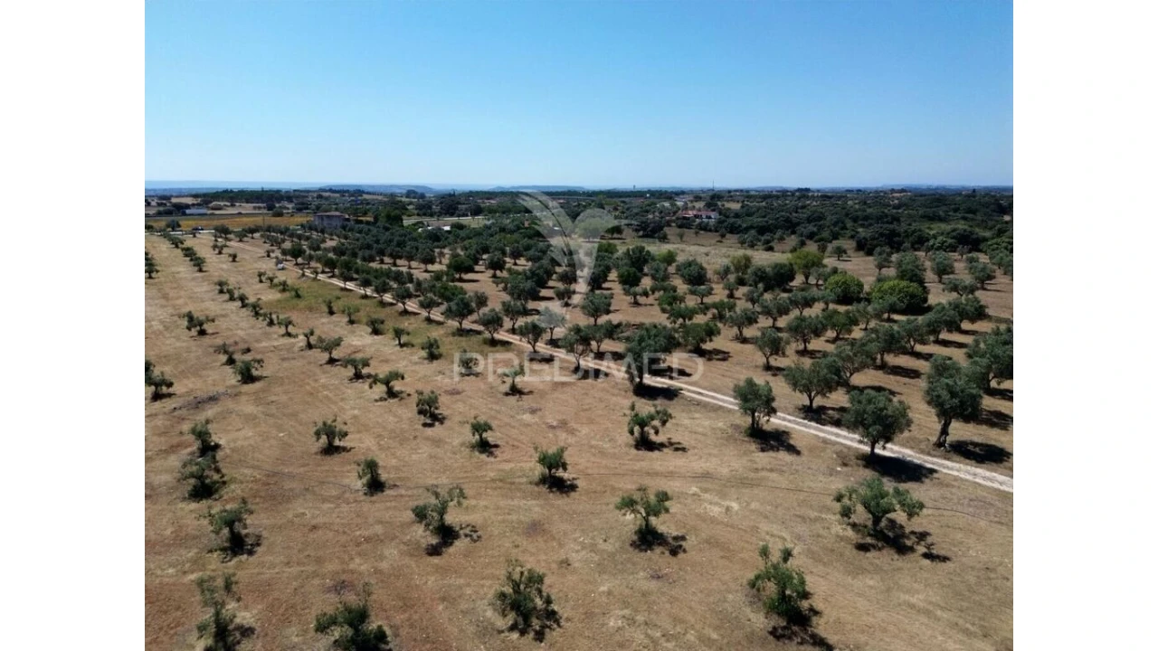 Quinta para Venda em Casével e Vaqueiros Foto 19