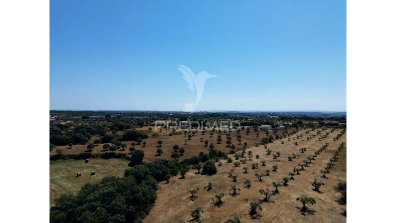 Quinta para Venda em Casével e Vaqueiros Foto 18