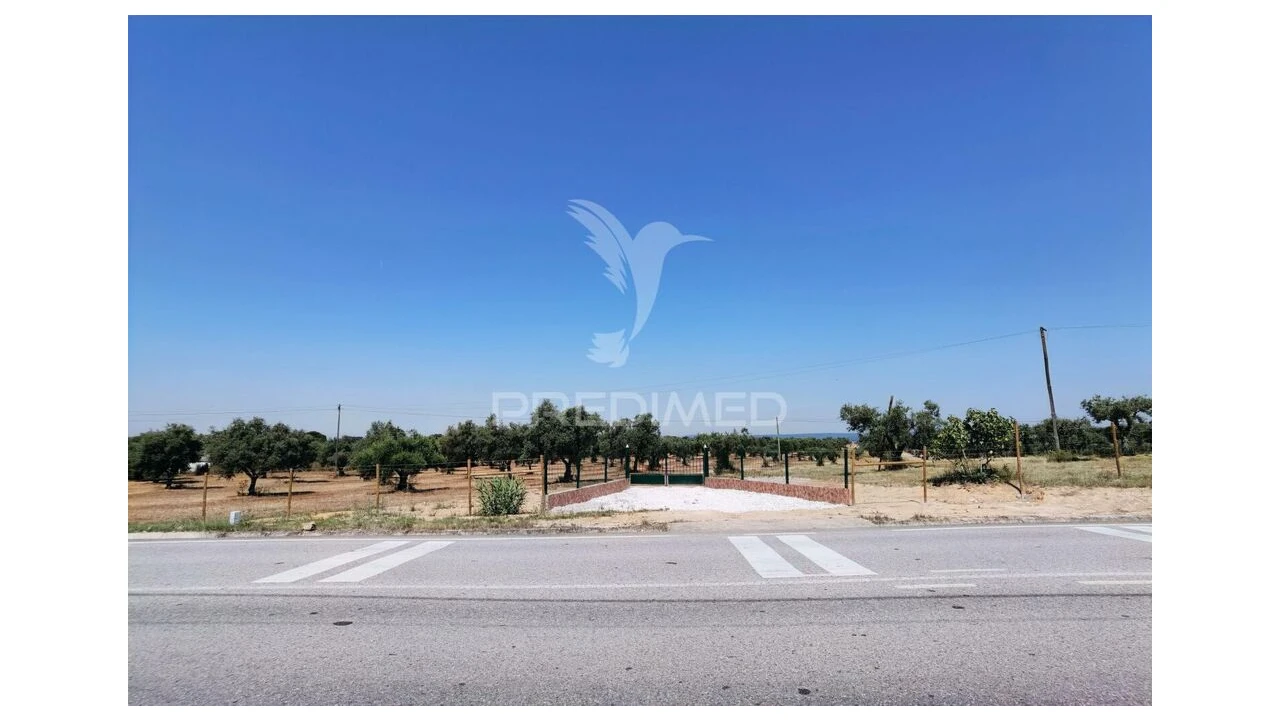 Quinta para Venda em Casével e Vaqueiros Foto 5