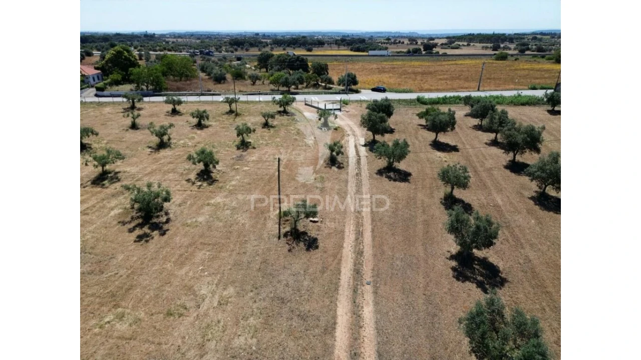 Quinta para Venda em Casével e Vaqueiros Foto 12