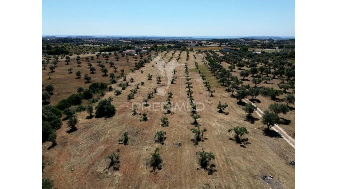 Quinta para Venda em Casével e Vaqueiros Foto 17