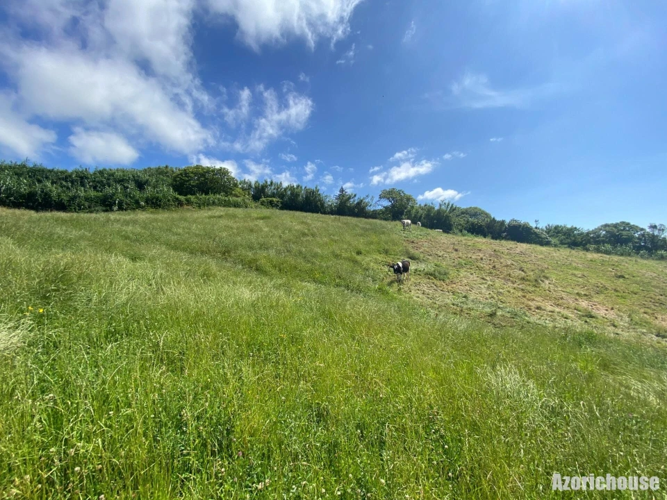 Terreno para Venda em Ponta Garça Foto 7