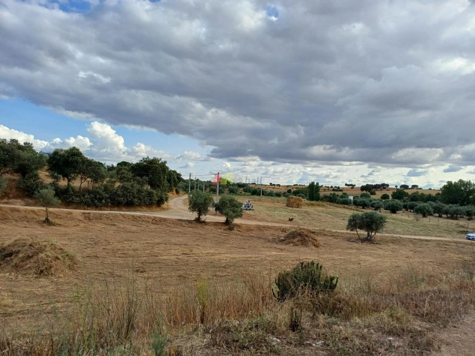 Terreno para Venda em Nossa Senhora de Machede Foto 13