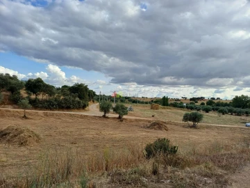 Terreno para Venda em Nossa Senhora de Machede