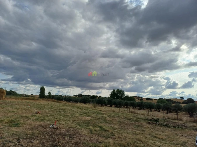 Terreno para Venda em Nossa Senhora de Machede Foto 15