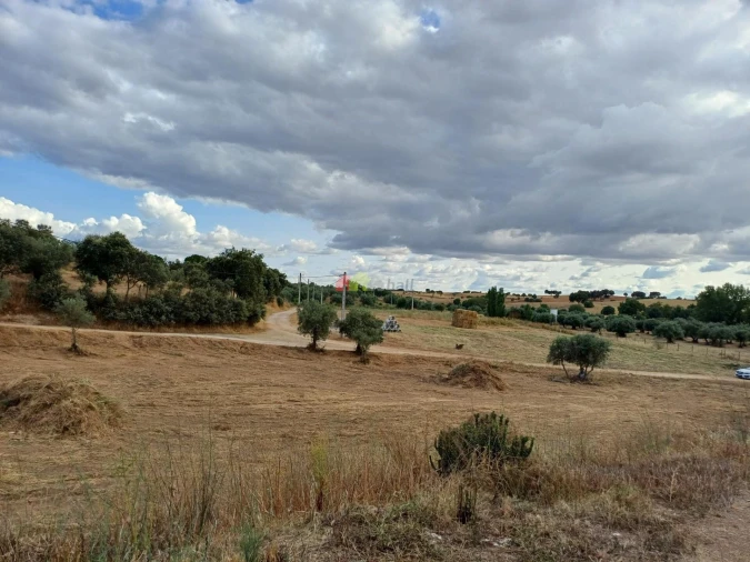 Terreno para Venda em Nossa Senhora de Machede Foto 13