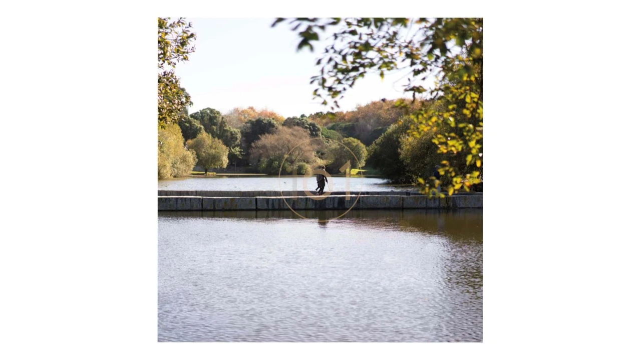 Apartamento T4 para Venda em Aldoar, Foz do Douro e Nevogilde Foto 12