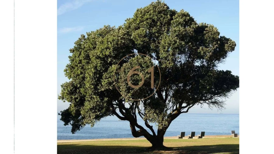 Apartamento T4 para Venda em Aldoar, Foz do Douro e Nevogilde Foto 14