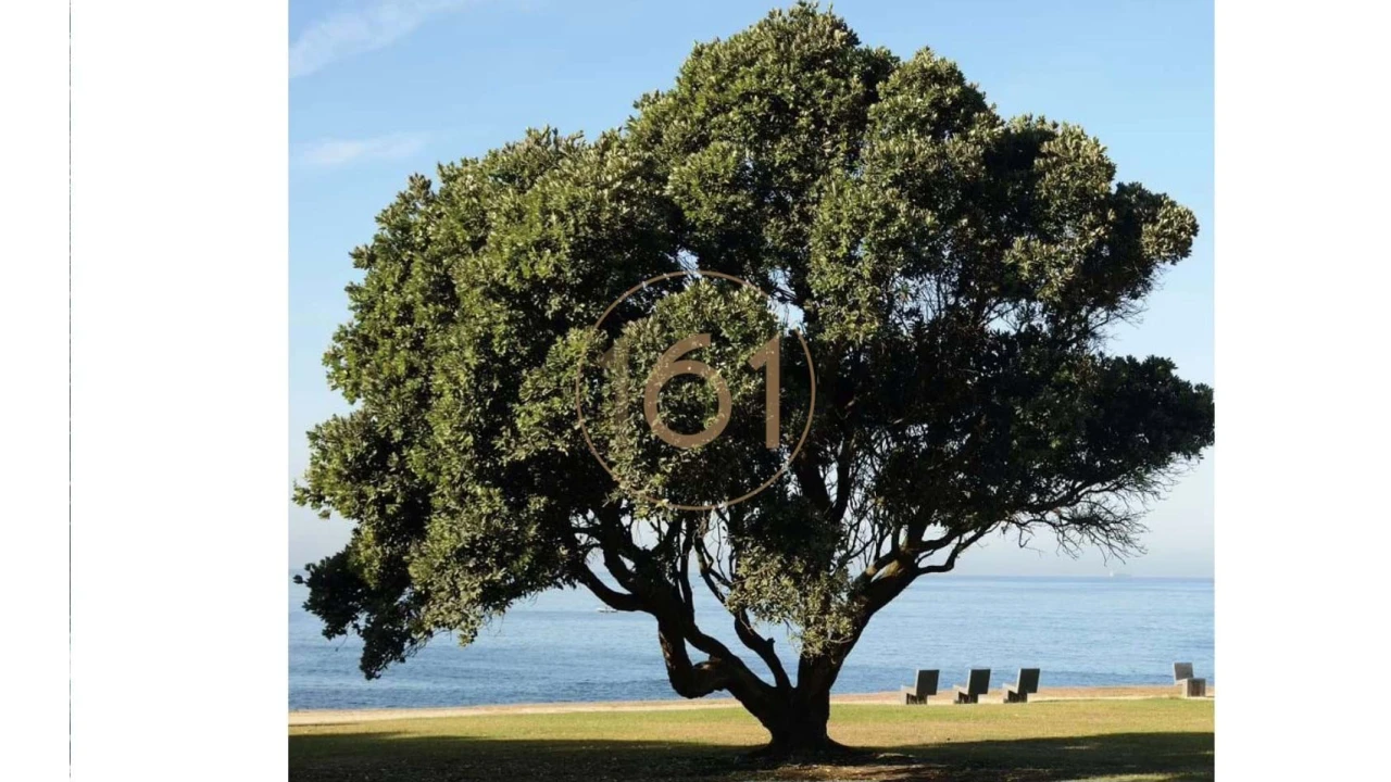 Apartamento T4 para Venda em Aldoar, Foz do Douro e Nevogilde Foto 14