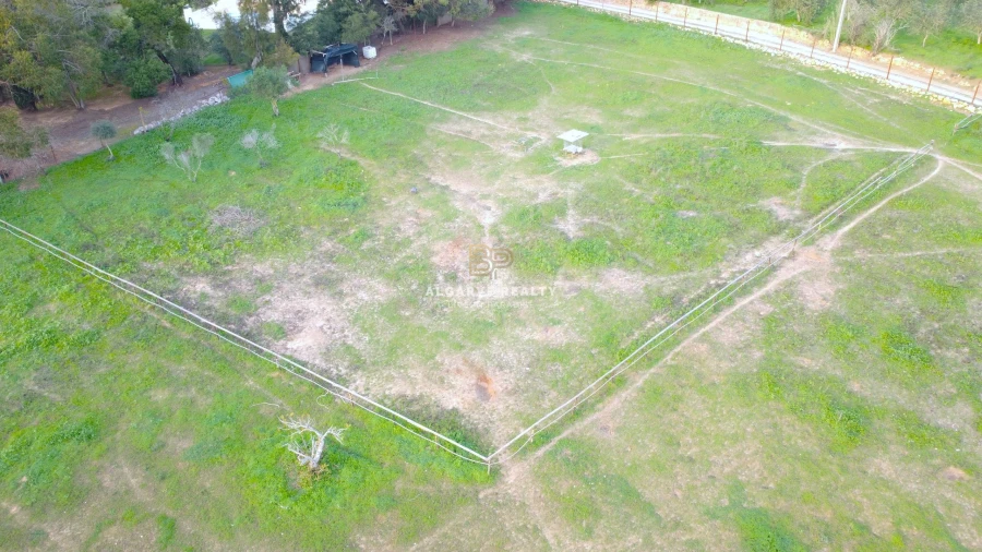Terreno Agricola ou Rústico para Venda em Lagoa e Carvoeiro Foto 4