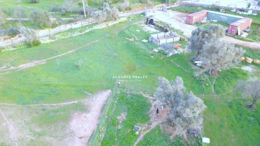 Terreno Agricola ou Rústico para Venda em Lagoa e Carvoeiro Foto 5
