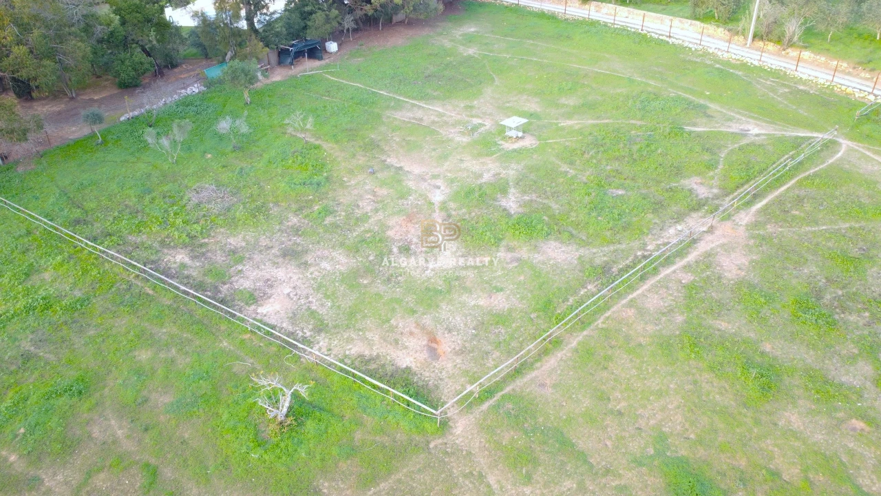 Terreno Agricola ou Rústico para Venda em Lagoa e Carvoeiro Foto 4