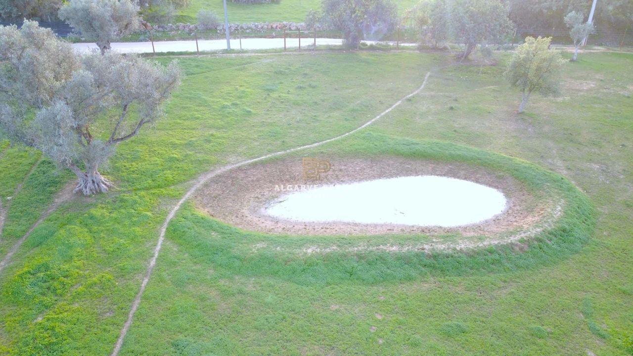 Terreno Agricola ou Rústico para Venda em Lagoa e Carvoeiro Foto 8