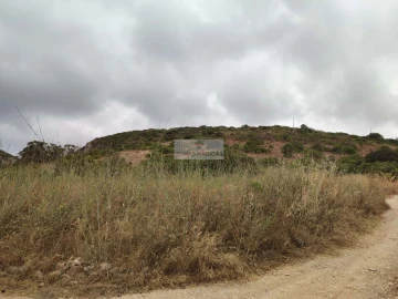 Terreno para Venda em Vila do Bispo e Raposeira