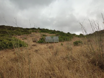 Terreno para Venda em Vila do Bispo e Raposeira