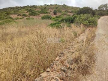 Terreno para Venda em Vila do Bispo e Raposeira