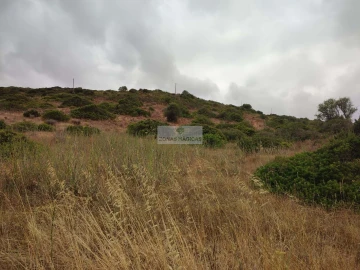Terreno para Venda em Vila do Bispo e Raposeira