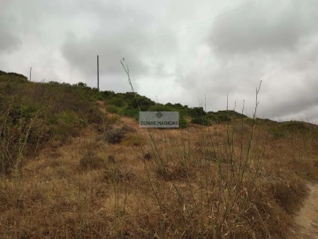 Terreno para Venda em Vila do Bispo e Raposeira