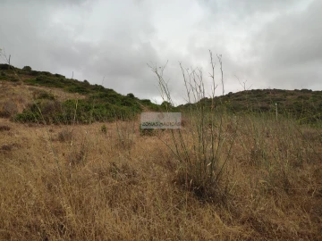 Terreno para Venda em Vila do Bispo e Raposeira