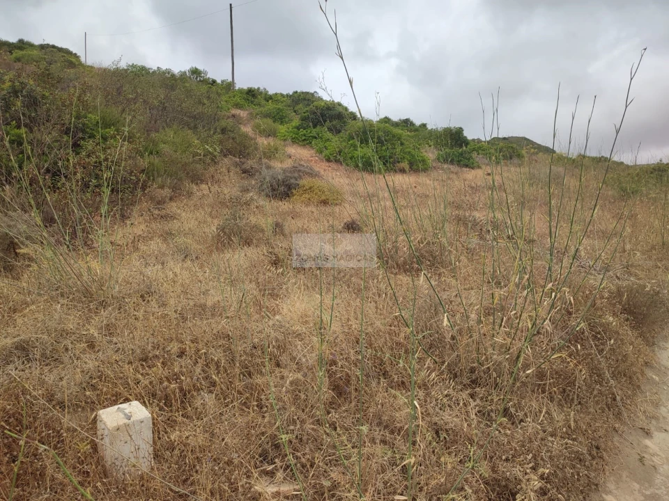 Terreno para Venda em Vila do Bispo e Raposeira Foto 5