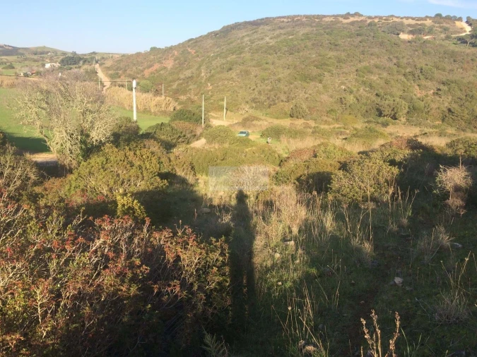 Terreno para Venda em Vila do Bispo e Raposeira Foto 3