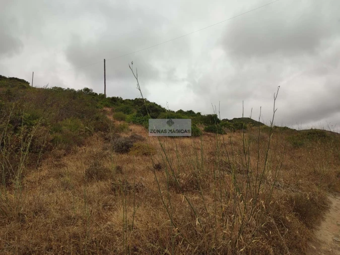 Terreno para Venda em Vila do Bispo e Raposeira Foto 8