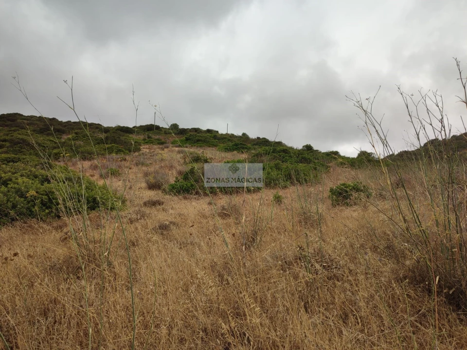 Terreno para Venda em Vila do Bispo e Raposeira Foto 11