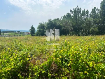 Terreno para Venda em Sabrosa