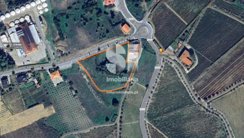 Terreno para Venda em Sabrosa