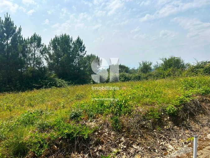 Terreno para Venda em Sabrosa Foto 3