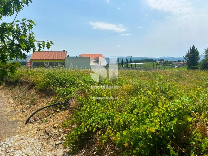 Terreno para Venda em Sabrosa Foto 4
