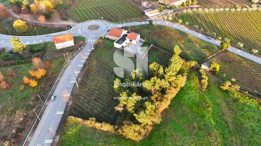 Terreno para Venda em Sabrosa Foto 13