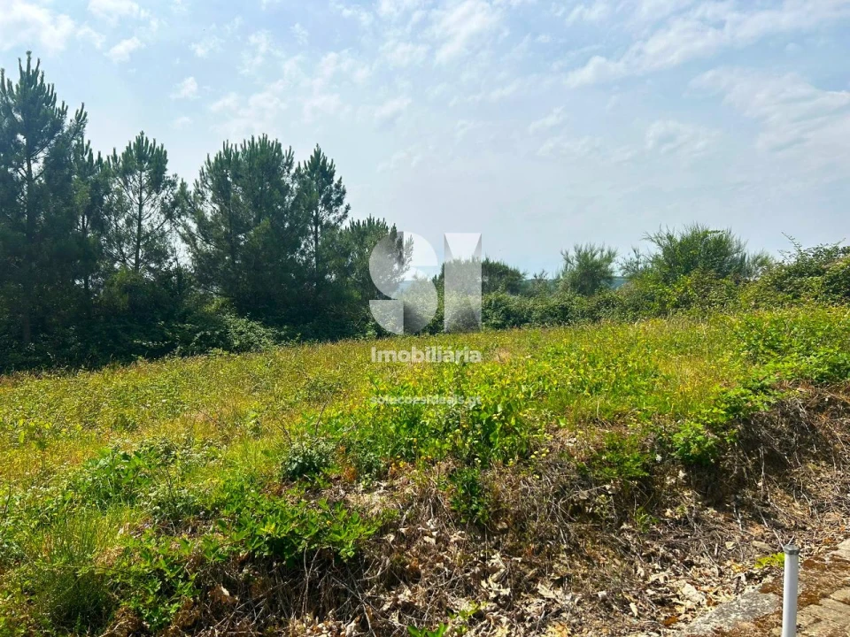 Terreno para Venda em Sabrosa Foto 3