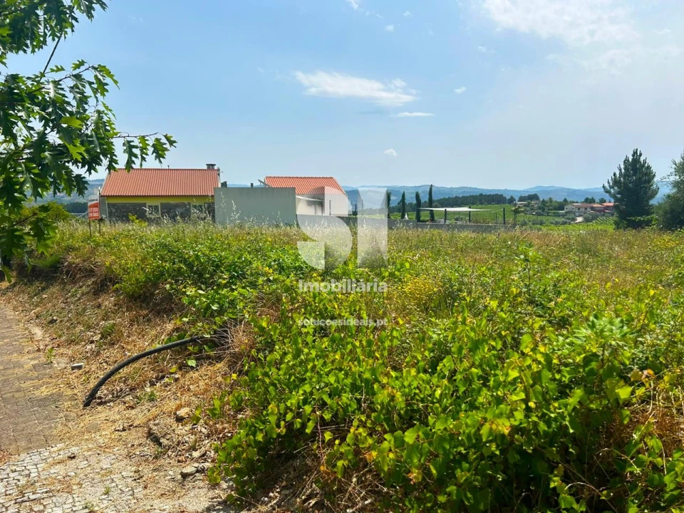Terreno para Venda em Sabrosa Foto 4