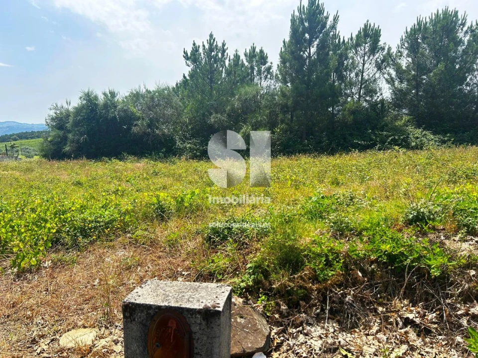 Terreno para Venda em Sabrosa Foto 7