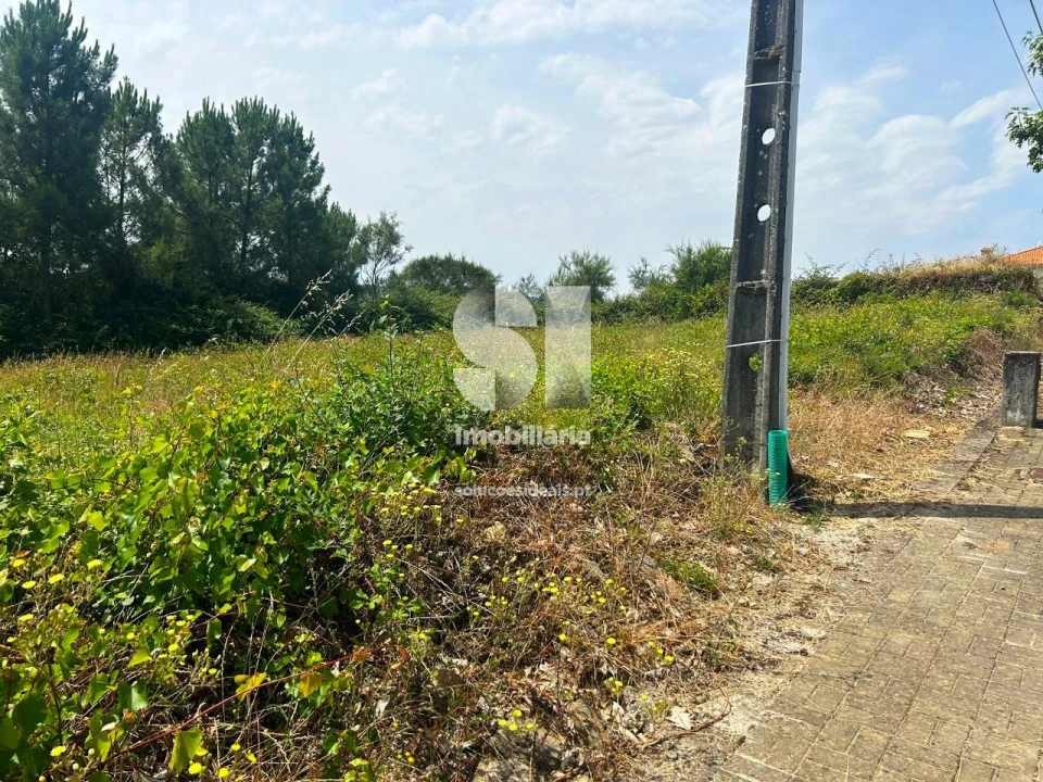 Terreno para Venda em Sabrosa Foto 10
