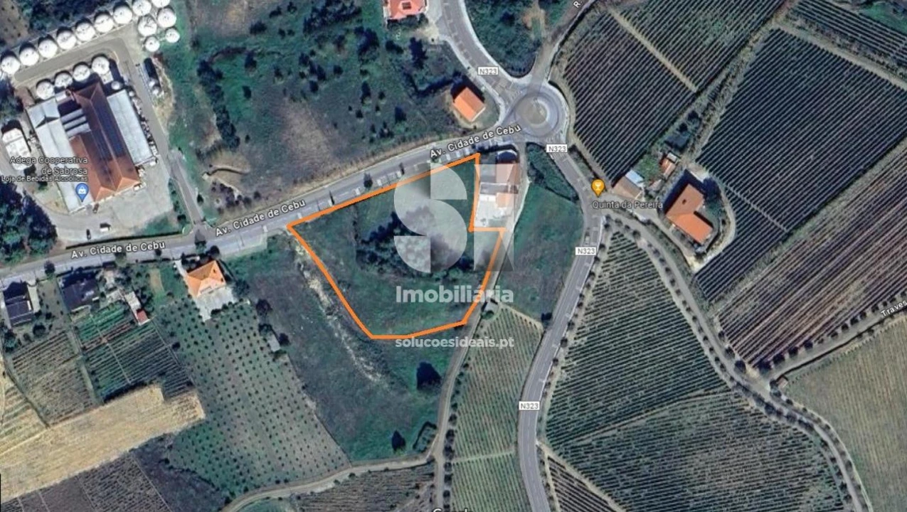 Terreno para Venda em Sabrosa Foto 14