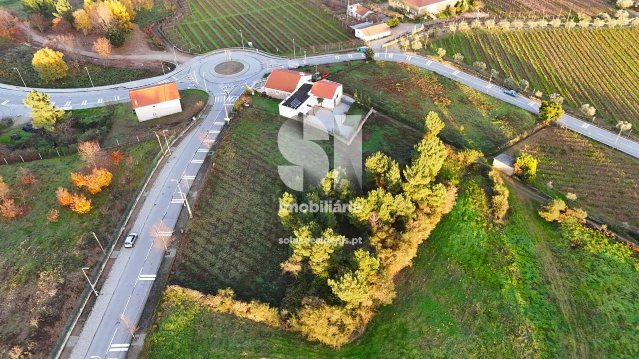 Terreno para Venda em Sabrosa Foto 13