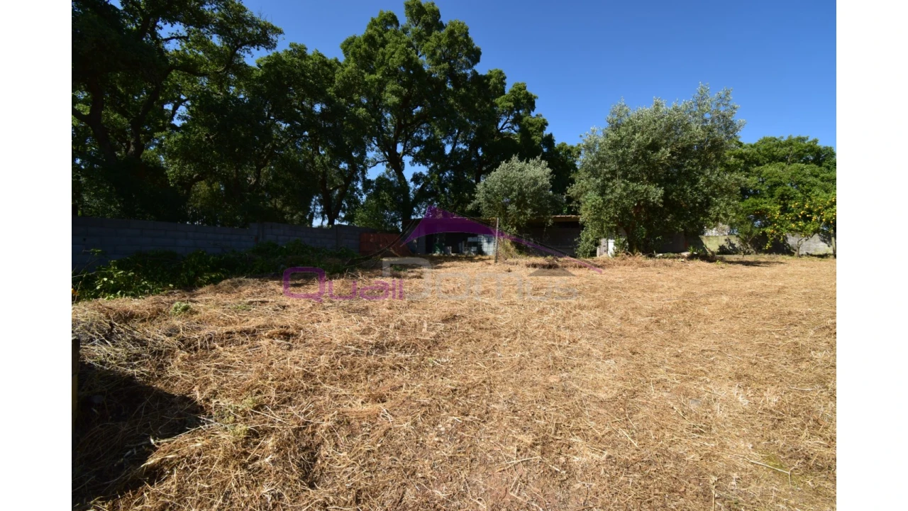 Quinta T1 para Venda em Santa Margarida da Coutada Foto 4