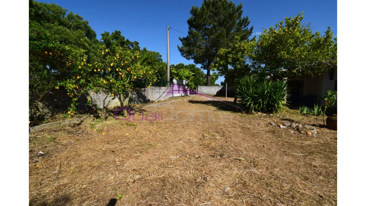Quinta T1 para Venda em Santa Margarida da Coutada Foto 7