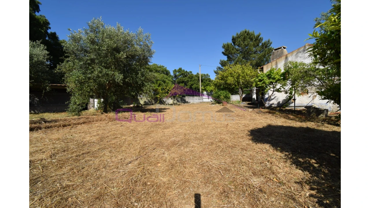 Quinta T1 para Venda em Santa Margarida da Coutada Foto 19